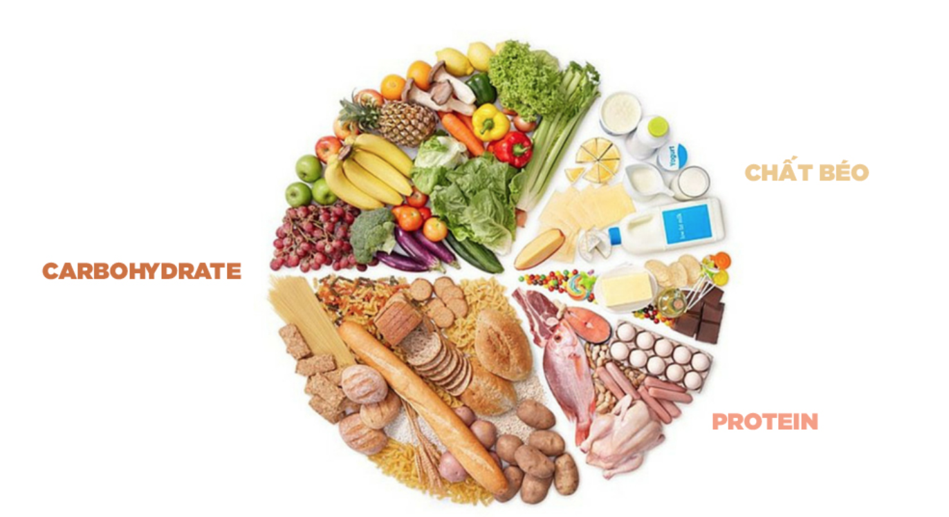 Carbohydrate hỗ trợ sức bền